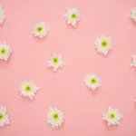 Come combattere le rughe con rimedi e prodotti naturali